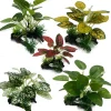 DOWNYPAWS - Décoration D'aquarium : Plantes Aquatiques Artificielles Plantes En Bois - 3 Articles Seront Envoyés Au Hasard Après L'achat