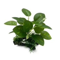 DOWNYPAWS - Décoration D'aquarium : Plantes Aquatiques Artificielles Plantes En Bois - 3 Articles Seront Envoyés Au Hasard Après L'achat