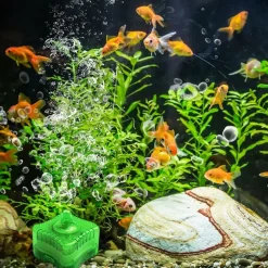 DOWNYPAWS - Filtration éponge multifonction pour nano aquarium