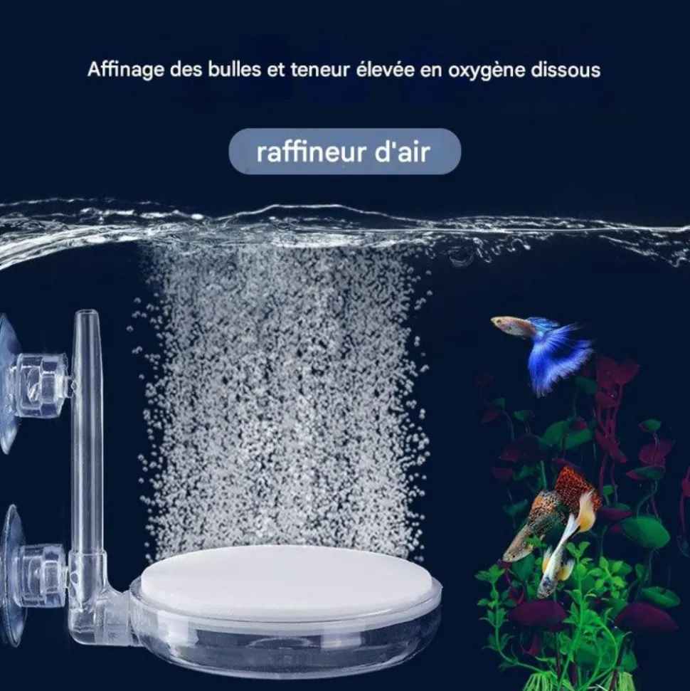 DOWNYPAWS - Filtre à air-accessoires d'aquarium-filtre d'aquarium avec ventouse