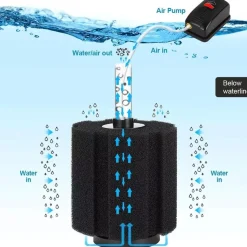 DOWNYPAWS - Filtre éponge diyarts : biofiltration et oxygénation l