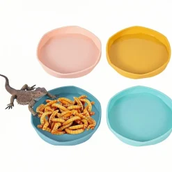 DOWNYPAWS - Gamelles à eau - lot de 4, motif dragon barbu, peu profond et plat, plastique