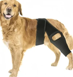 DOWNYPAWS - Genouillèrepourchien: attelledecuisseréglablefixationpostopératoire protectiondesjambesaprèsblessurearticulaire
