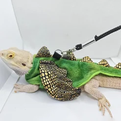 DOWNYPAWS - Harnais et laisse - costume de dinosaure, anti - fuite, halloween s