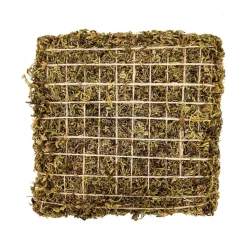 DOWNYPAWS - Jeu d'escalade pour hermit crab et escargot 2 pièces