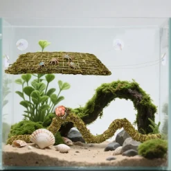 DOWNYPAWS - Jeu d'escalade pour hermit crab et escargot 4 pièces