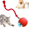 DOWNYPAWS - Jouet à Rouler Automatique Et Rechargeable Par USB Pour Chat