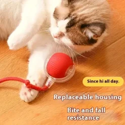 DOWNYPAWS - Jouet à Rouler Automatique Et Rechargeable Par USB Pour Chat