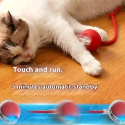 DOWNYPAWS - Jouet à Rouler Automatique Et Rechargeable Par USB Pour Chat