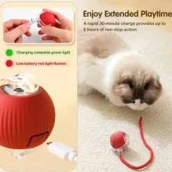 DOWNYPAWS - Jouet à Rouler Automatique Et Rechargeable Par USB Pour Chat