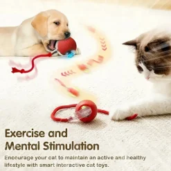 DOWNYPAWS - Jouet à Rouler Automatique Et Rechargeable Par USB Pour Chat