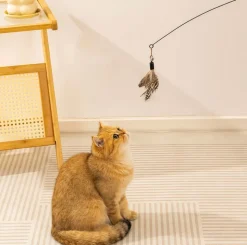 DOWNYPAWS - Jouet pour chat : plumes d'oiseau artificielles outil de détente pour chats
