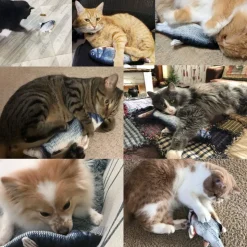 DOWNYPAWS - Jouets interactifs pour chats-jouet électrique en forme de poisson