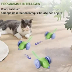 DOWNYPAWS - Jouets pour chats-jouet automatique souris pour chat-souris verte