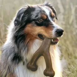 DOWNYPAWS - Jouets pour chiens-jouets à mâcher interactifs-jouet en forme d'os-marron foncé 17*13cm