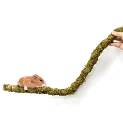 DOWNYPAWS - Poteau d'escalade en mousse 40 cm pour animaux de compagnie