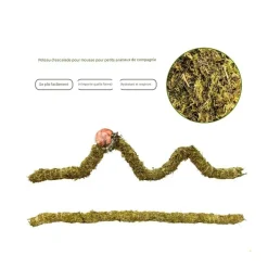 DOWNYPAWS - Poteau d'escalade en mousse 40 cm pour animaux de compagnie