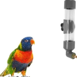 DTOPBUYAGE - Abreuvoir automatique pour divers oiseaux