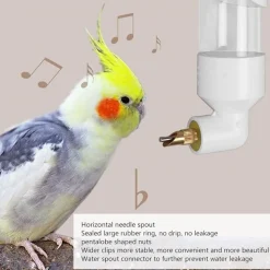 DTOPBUYAGE - Abreuvoir automatique pour divers oiseaux