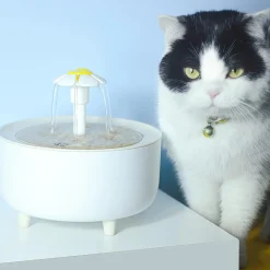 DTOPBUYAGE - Abreuvoir silencieux pour chiens et chats