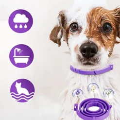 DTOPBUYAGE - Collier apaisant réglable dtopbuyage pour chiens et chats