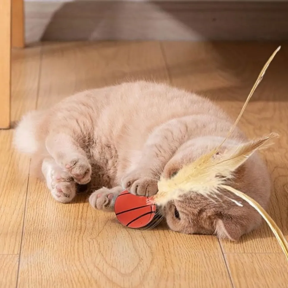 DTOPBUYAGE - Jouet de ballon à plumes pour chat (lot de 2)