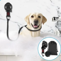 DTOPBUYAGE - Laisse à ventouse pour chien dtopbuyage