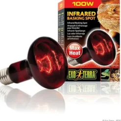 EXO TERRA - Ampoule chauffante pour terrarium - - basking spot - chaleur infrarouge - 100w