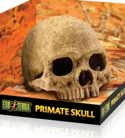 EXO TERRA - Crane primate décoration reptile amphibien grand