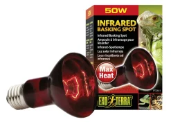 EXO TERRA - Lampe infrared basking spot reptiles