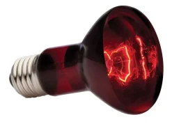 EXO TERRA - Lampe infrared basking spot reptiles