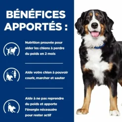 HILL'S - Croquettes chien adult prescription diets j/d metabolic + mobility - hill's 4 kg