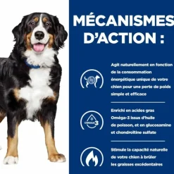 HILL'S - Croquettes chien adult prescription diets j/d metabolic + mobility - hill's 4 kg