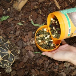 JBL - Fructil, alimentation pour tortues terrestres : 250ml