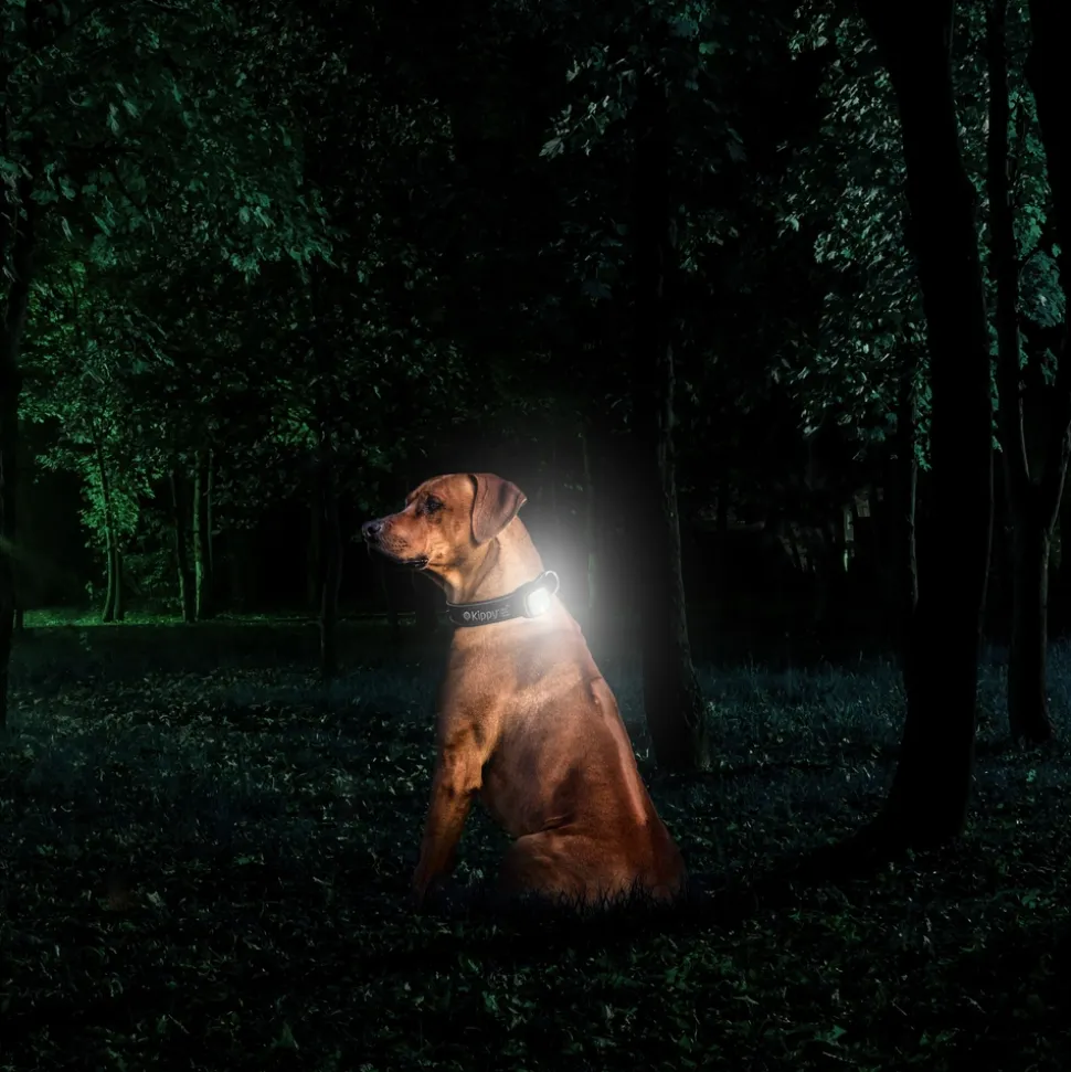 KIPPY - GPS et moniteur d'activité Kippy Evo Brown Wood pour chien & chat