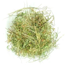 L'EDEN DES PATTOUNES - Foin aromatisé aux feuilles de bouleau pour lapins et rongeurs