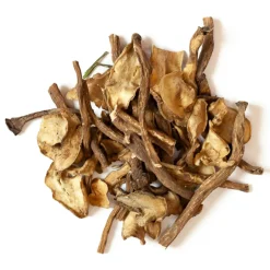 L'EDEN DES PATTOUNES - Mix Racines de pissenlit / Topinambour