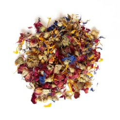 L'EDEN DES PATTOUNES - Mix Summer Flowers