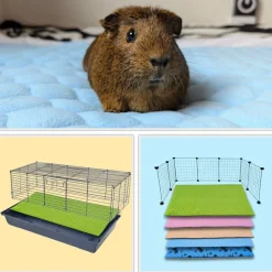 NEO SOLVO - Lot de 4 - tapis qui remplace la litière pour cochon d'inde et lapin - absorbant, imperméable, passe en machine 105 x 105 cm