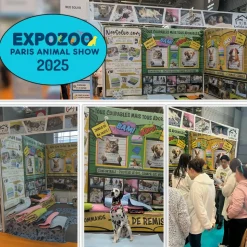 NEO SOLVO - Tapis qui remplace la litière pour cochon d'inde et lapin - absorbant, imperméable, passe en machine - 60 x 50 cm