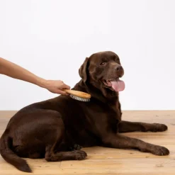 PARIS PRIX - Brosse de toilettage bambou