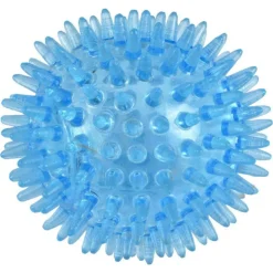 PARIS PRIX - Jouet pour chien sonore 