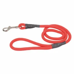 PARIS PRIX - Laisse ronde pour chien "essentiel" 100cm rouge