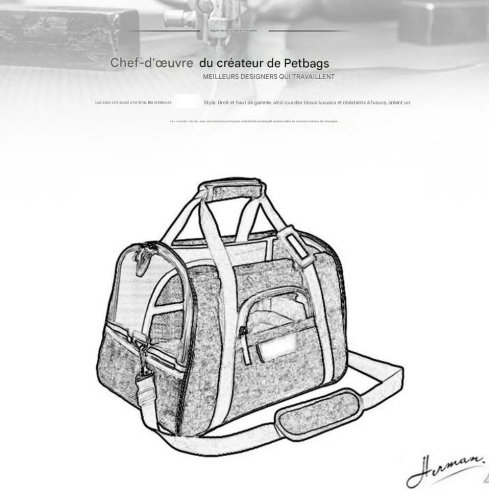 Sac à dos de chat portable et respirant pour sorties petit downypaws