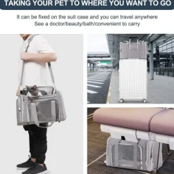 Sac à dos de chat portable et pliable pour sorties noir s downypaws