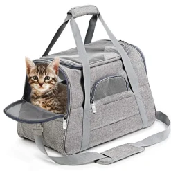 Sac à dos de chat portable et respirant pour sorties grand downypaws