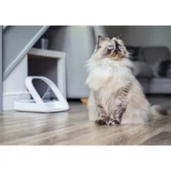 SUREFLAP - Surefeed distributeur de nourriture a puce électronique connecté - blanc (livré sans le hub)