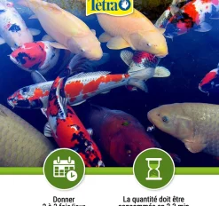 TETRA - Aliment complet flottant koï stick 4 litres , 650 g pour carpes koï de bas