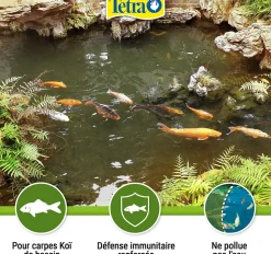 TETRA - Aliment complet flottant koï stick 4 litres , 650 g pour carpes koï de bas