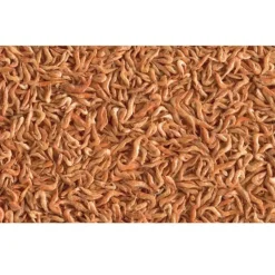 TETRA - Crevettes entières séchés 100 g - 1l pour toutes les tortues d'eau